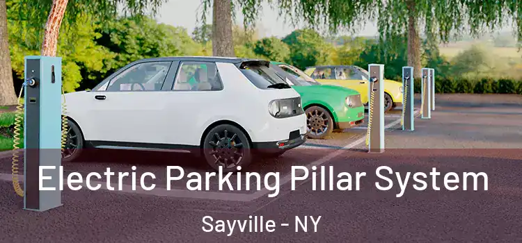Electric Parking Pillar System Sayville - NY